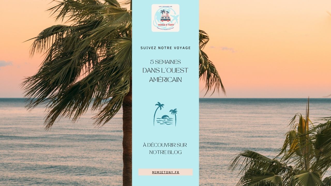 Lire la suite à propos de l’article Suivez notre voyage